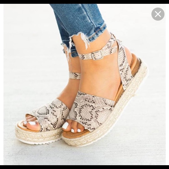 elite shoes for ladies